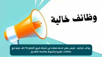 رواتب خيالية.. فرص عمل خدمة عملاء في شركة كبرى تتجاوز 16 ألف جنيه مع مكافآت مغرية وشروط واضحة للتقديم